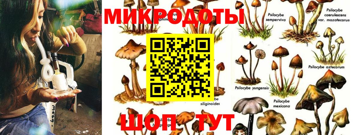 где найти наркотики  Галлюциногенные грибы Magic Shrooms  Псилоцибиновые грибы MAGIC MUSHROOMS  Вход с VPN  Оренбург 